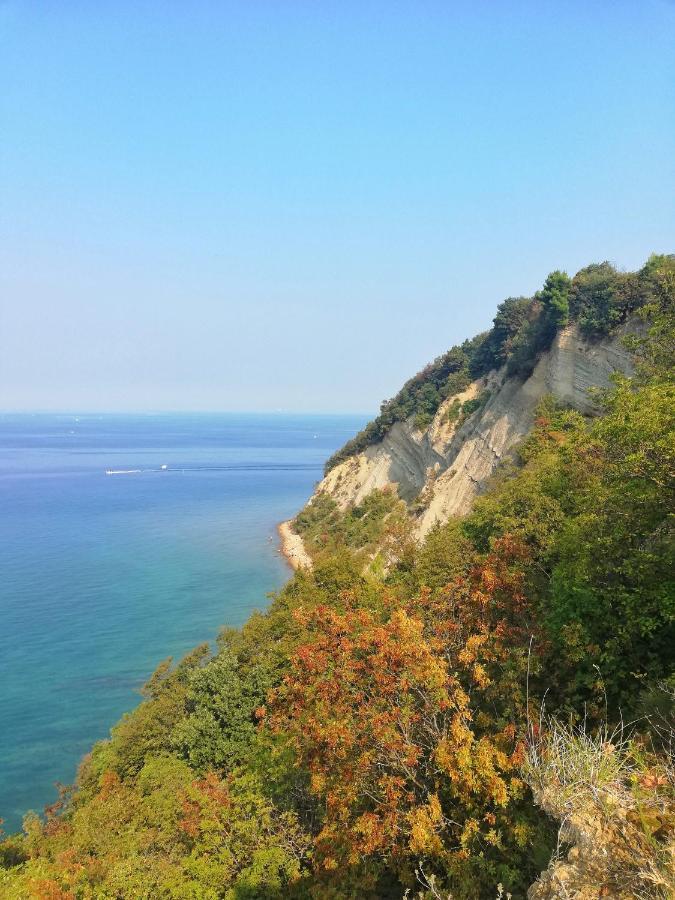 Forrest Apartment Portorož Zewnętrze zdjęcie