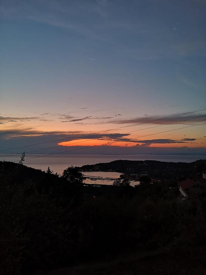 Forrest Apartment Portorož Zewnętrze zdjęcie