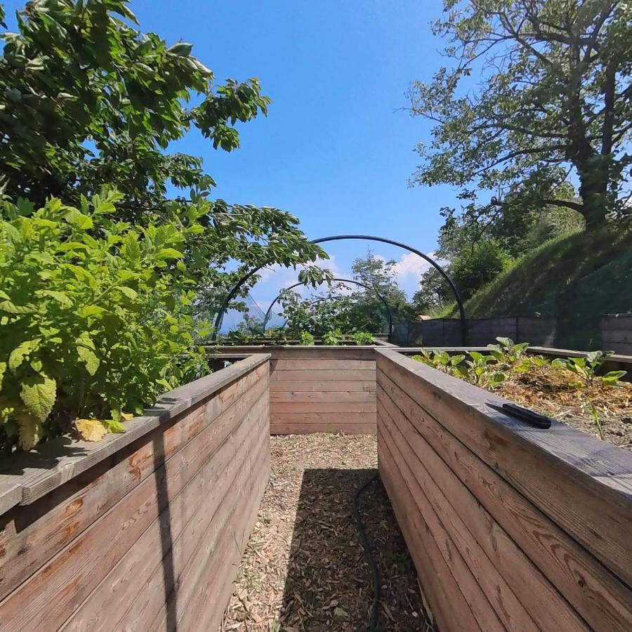 Forrest Apartment Portorož Zewnętrze zdjęcie